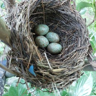 박수연님의 감 · 자유게시판 작성글 사진