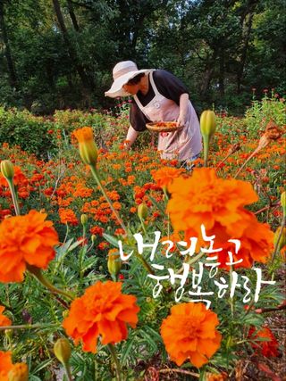 나래2040님의 장마 대비 어떻게 하셨나요? · 참여 작성글 사진