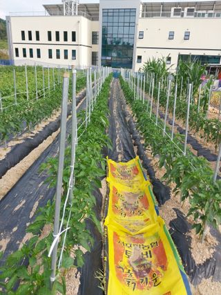 김동주님의 장마 대비 어떻게 하셨나요? · 참여 작성글 사진