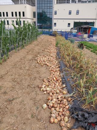 김동주님의 장마 대비 어떻게 하셨나요? · 참여 작성글 사진