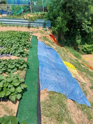 김동주님의 장마 대비 어떻게 하셨나요? · 참여 작성글 사진