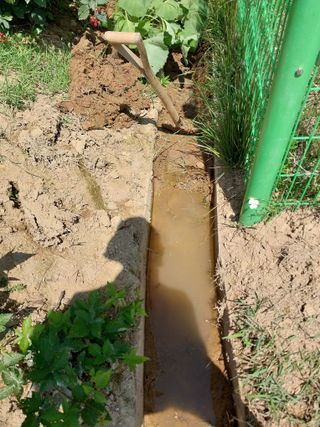 김동주님의 장마 대비 어떻게 하셨나요? · 참여 작성글 사진