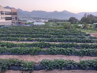 김동주님의 장마 대비 어떻게 하셨나요? · 참여 작성글 사진