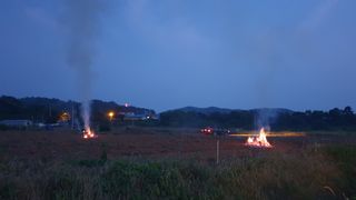 농부아내님의 마늘 · 영농일지 작성글 사진