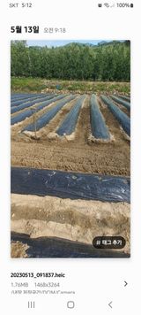 팜모닝 장마 대비 어떻게 하셨나요?·참여 게시글 이미지