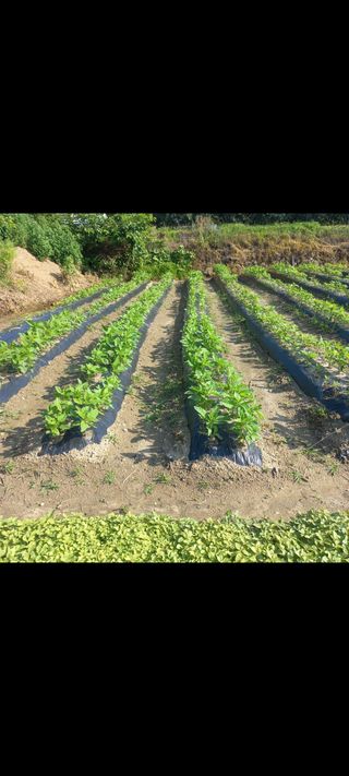 알 수 없음님의 장마 대비 어떻게 하셨나요? · 참여 작성글 사진