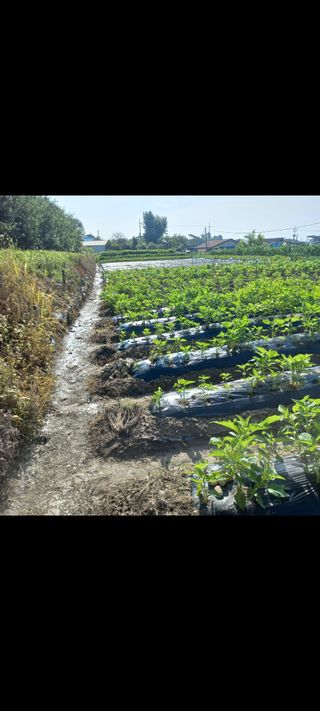 알 수 없음님의 장마 대비 어떻게 하셨나요? · 참여 작성글 사진