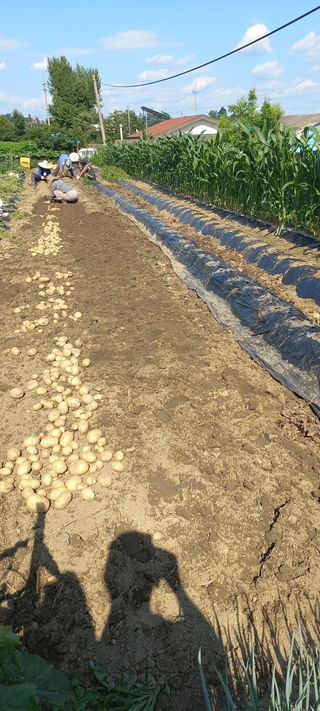 알 수 없음님의 장마 대비 어떻게 하셨나요? · 참여 작성글 사진