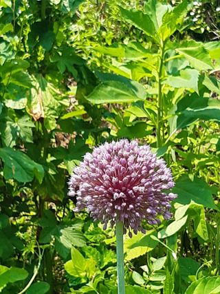 새리님의 자유주제 · 자유게시판 작성글 사진