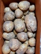 팜모닝 장마 대비 어떻게 하셨나요?·참여 게시글 이미지