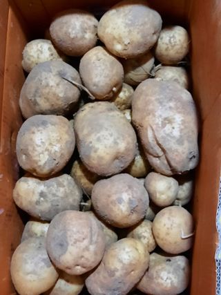 물꼴장성호님의 장마 대비 어떻게 하셨나요? · 참여 작성글 사진