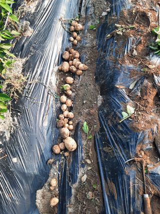 물꼴장성호님의 장마 대비 어떻게 하셨나요? · 참여 작성글 사진