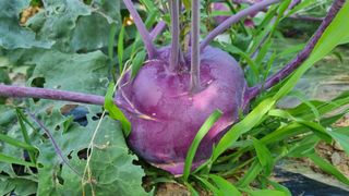 여백님의 자유주제 · 자유게시판 작성글 사진