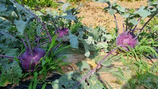 여백님의 자유주제 · 자유게시판 작성글 사진