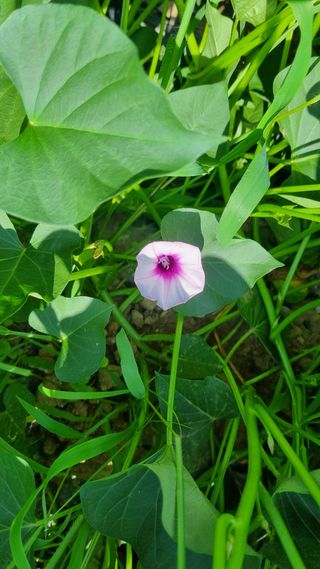 여백님의 자유주제 · 자유게시판 작성글 사진