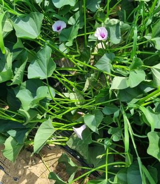 여백님의 자유주제 · 자유게시판 작성글 사진