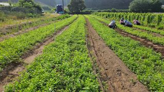 조병대님의 기타작물 · 자유게시판 작성글 사진