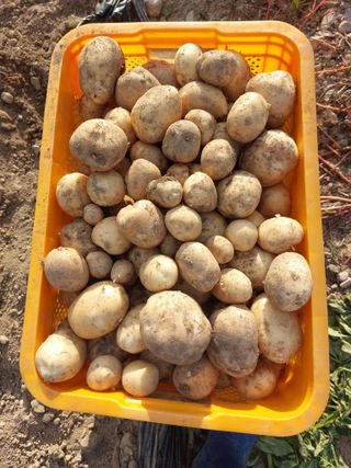 손윤영/수채화농원님의 작성글 사진