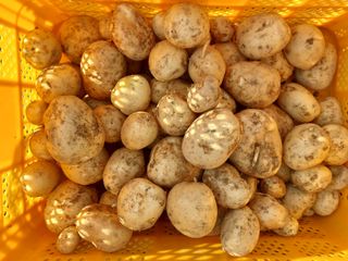 손윤영/수채화농원님의 작성글 사진