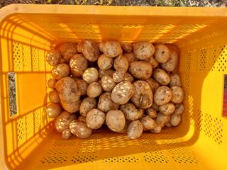 손윤영/수채화농원님의 작성글 사진