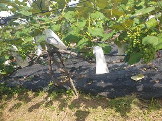 경기도님의 장마 대비 어떻게 하셨나요? · 참여 작성글 사진