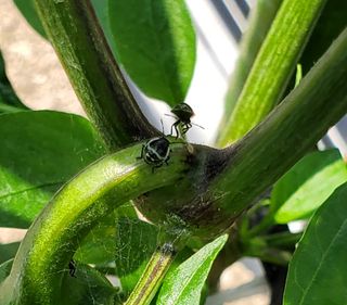 홍천 손춘목 님의 장마 대비 어떻게 하셨나요? · 참여 작성글 사진