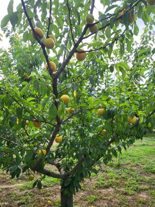 정정숙님의 기타작물 · 자유게시판 작성글 사진
