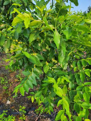 신평식님의 기타작물 · 자유게시판 작성글 사진