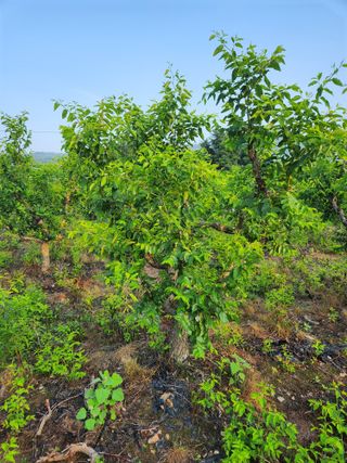 신평식님의 기타작물 · 자유게시판 작성글 사진