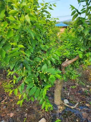 신평식님의 기타작물 · 자유게시판 작성글 사진