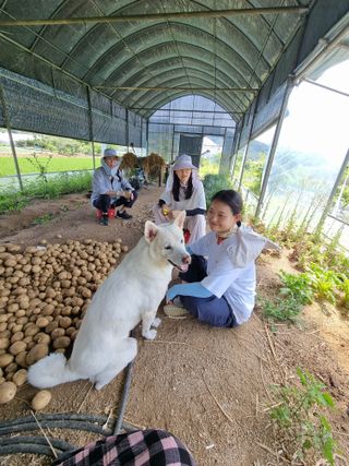 정민지호맘님의 감자 · 자유게시판 작성글 사진