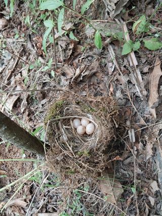 갑중봉황커피사과농장님의 자유주제 · 자유게시판 작성글 사진