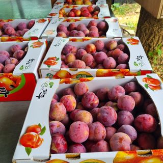 곽철수님의 자유주제 · 자유게시판 작성글 사진