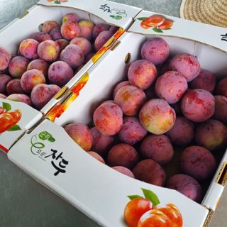 곽철수님의 자유주제 · 자유게시판 작성글 사진