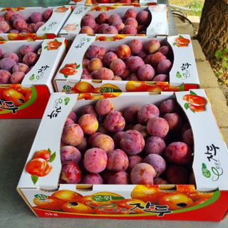 곽철수님의 자유주제 · 자유게시판 작성글 사진