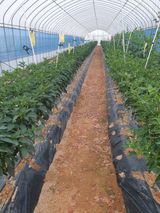 팜모닝 자유주제·자유게시판 게시글 이미지