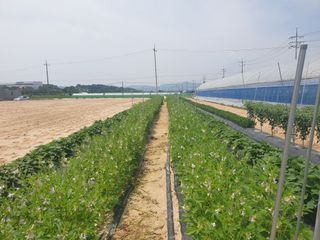 홍미옥님의 자유주제 · 자유게시판 작성글 사진