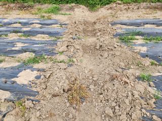 김영준님의 장마 대비 어떻게 하셨나요? · 참여 작성글 사진