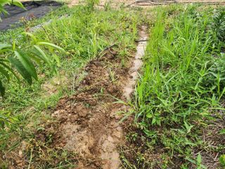 김영준님의 장마 대비 어떻게 하셨나요? · 참여 작성글 사진