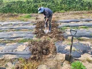 김영준님의 장마 대비 어떻게 하셨나요? · 참여 작성글 사진