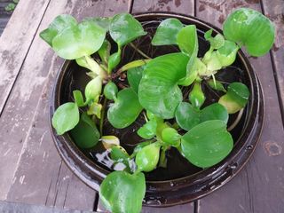 금동이네님의 기타작물 · 자유게시판 작성글 사진