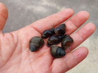 금동이네님의 기타작물 · 자유게시판 작성글 사진