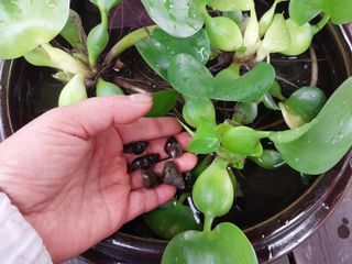 금동이네님의 기타작물 · 자유게시판 작성글 사진