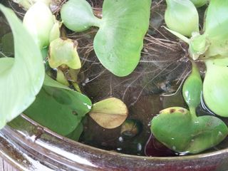 금동이네님의 기타작물 · 자유게시판 작성글 사진