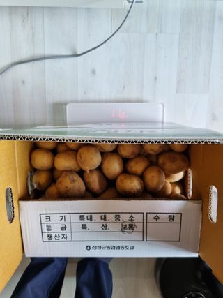 양파14130님의 감자 · 자유게시판 작성글 사진
