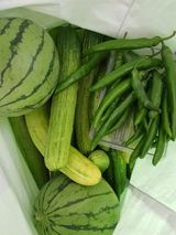 팜모닝 자유주제·자유게시판 게시글 이미지