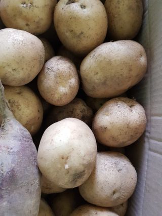 김건호님의 자유주제 · 자유게시판 작성글 사진