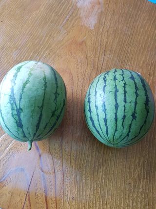 김건호님의 자유주제 · 자유게시판 작성글 사진