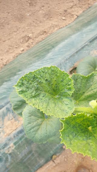 김준회님의 자유주제 · 자유게시판 작성글 사진