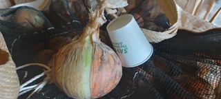 허차암님의 양파 · 자유게시판 작성글 사진